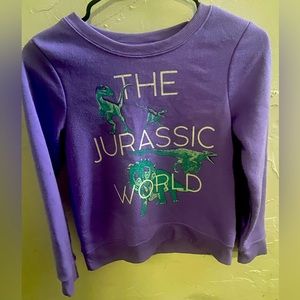 Kids sweater || Size 10/12 || Jurassic World